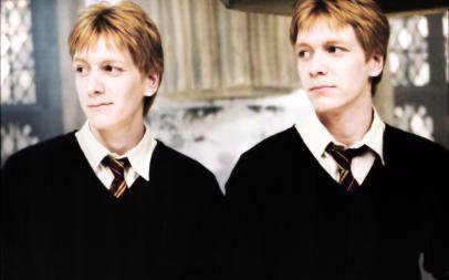 小李子做餐饮爆料视频大全,餐饮行业爆料视频大全