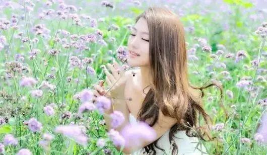 花拍在线观看,一场视觉与情感的盛宴